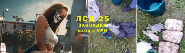 стафф Алзамай
