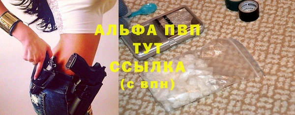 гашик Абаза