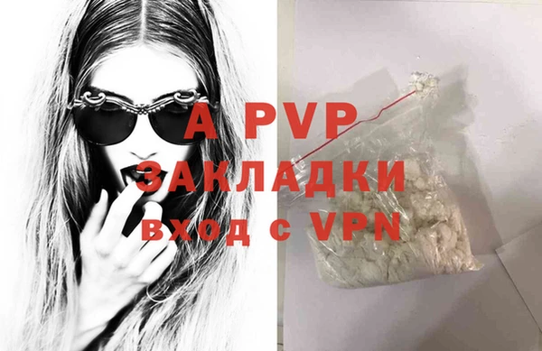 стафф Алзамай