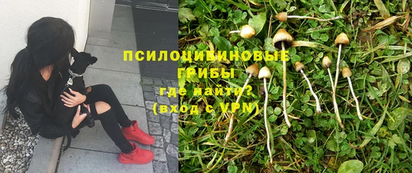 mdpv Алексеевка