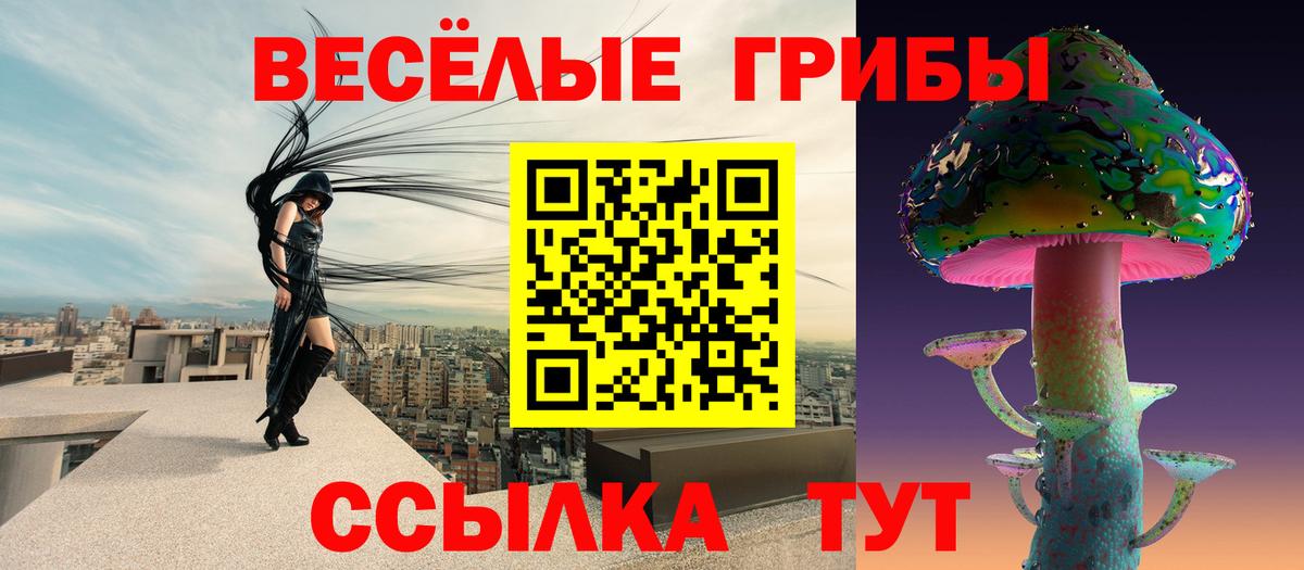 Псилоцибиновые грибы Psilocybine cubensis Сатка